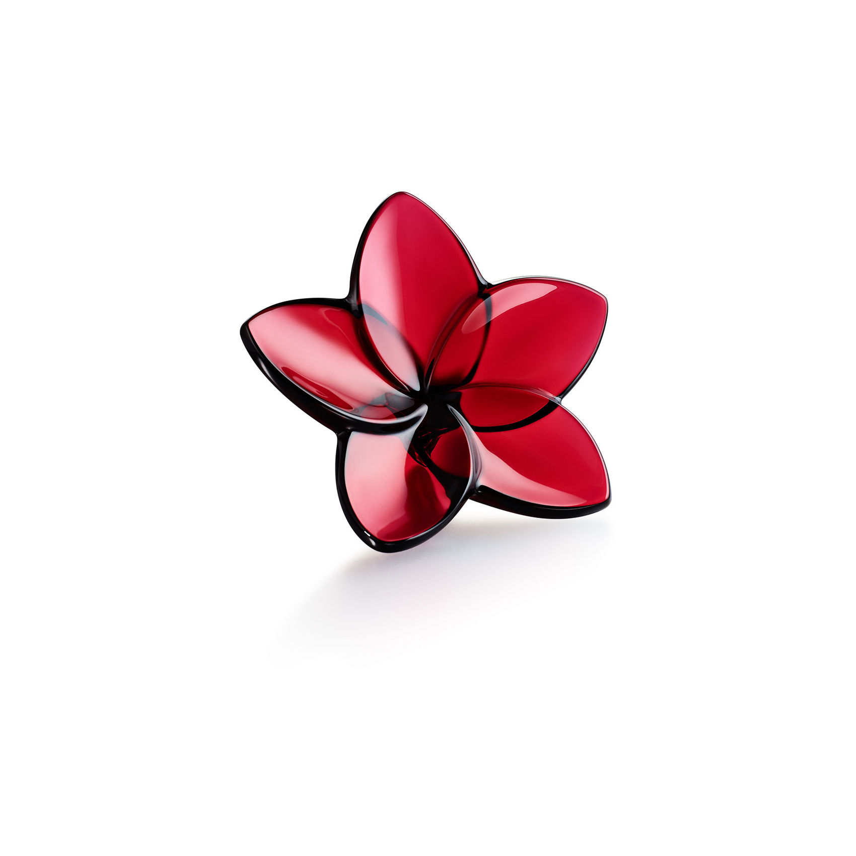 Fiore Baccarat Bloom    2813016