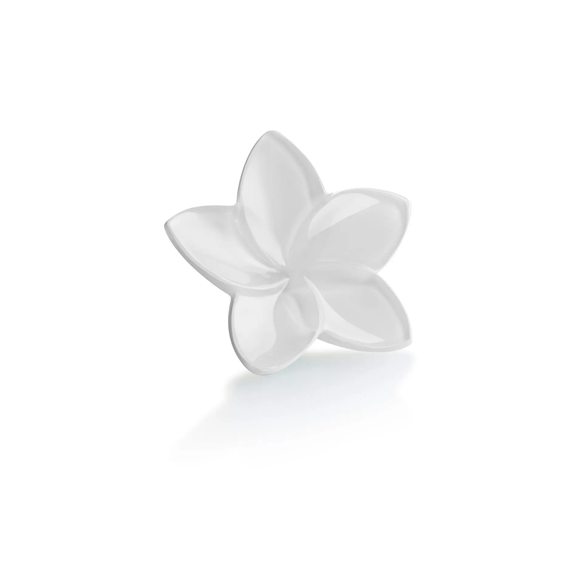 Fiore Baccarat Bloom   2812807