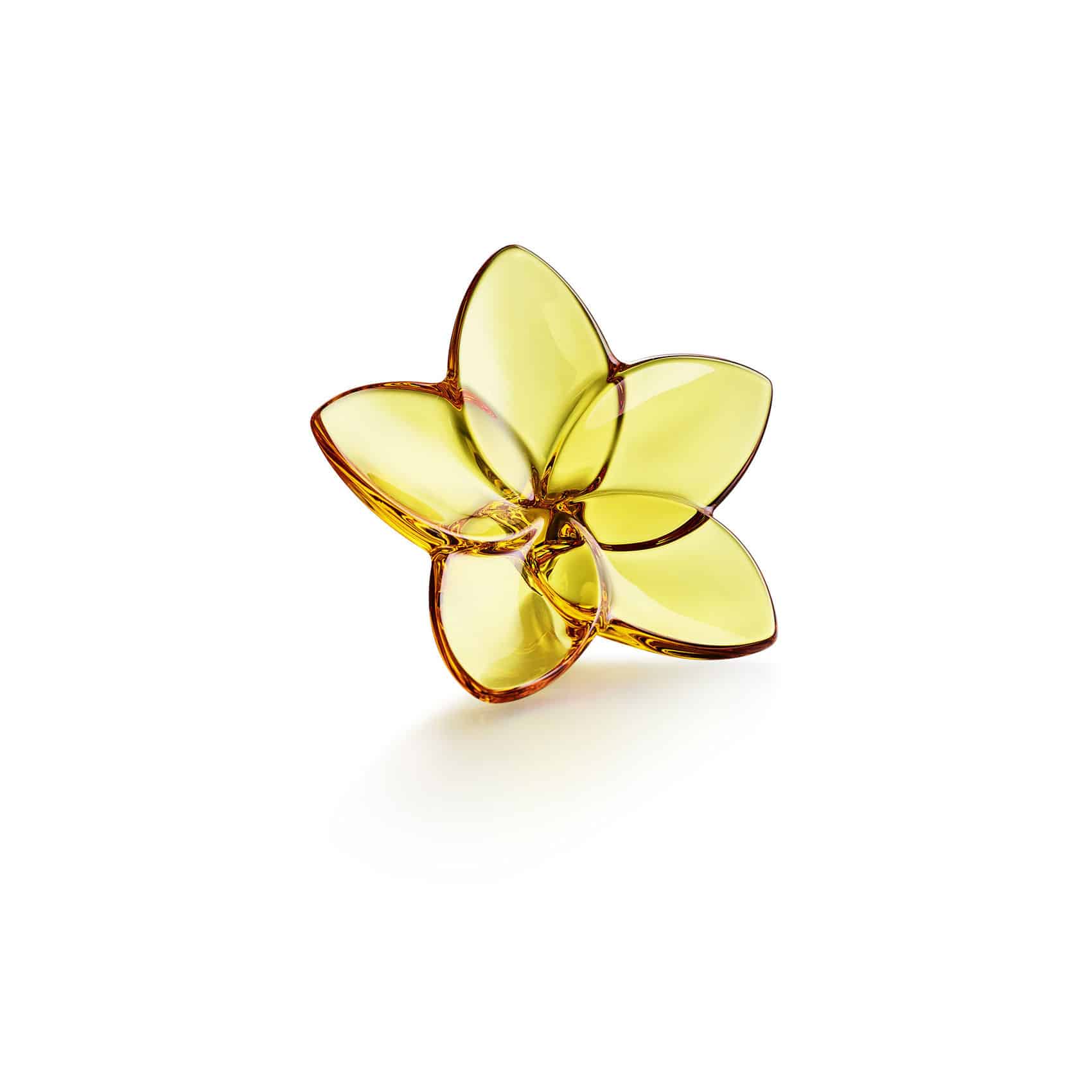 Fiore Baccarat Bloom 2813014