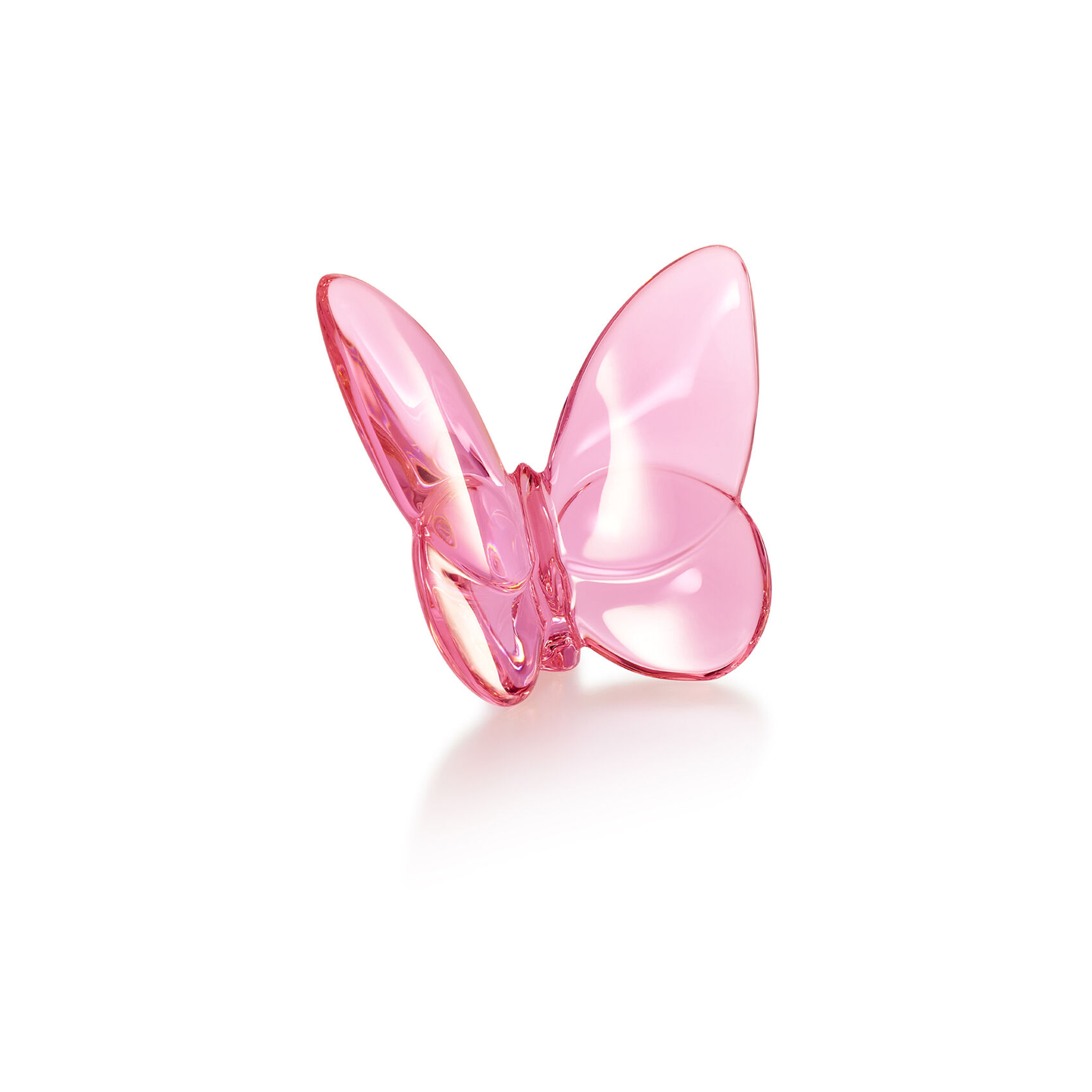 Farfalla Baccarat Rosa